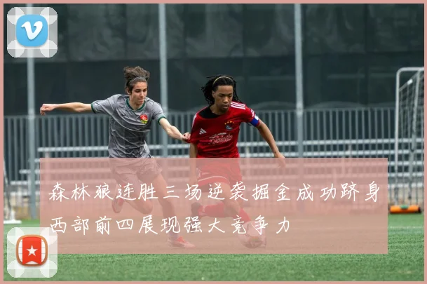 森林狼连胜三场逆袭掘金成功跻身西部前四展现强大竞争力