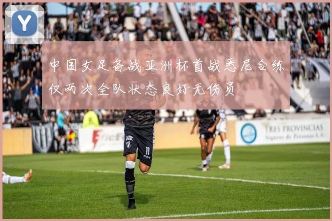 中国女足备战亚洲杯首战悉尼合练仅两次全队状态良好无伤员